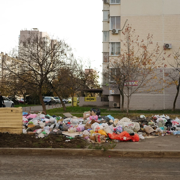 Источник: Дарья Паращенко / 93.RU
