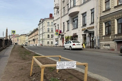 В центре Петербурга посадили опасную картошку