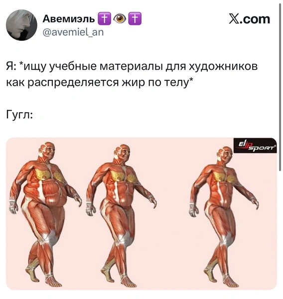 Источник: X (Twitter)