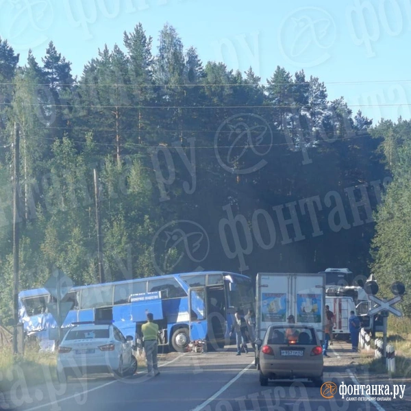 Источник: читатель «Фонтанки»