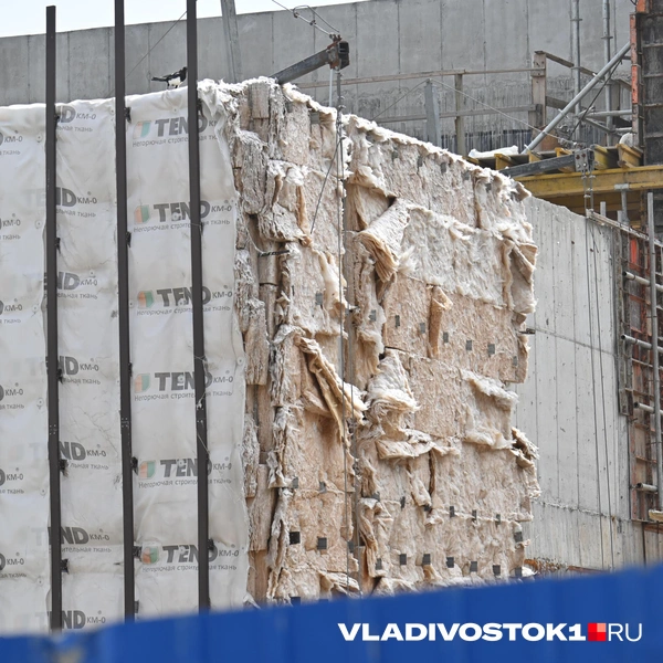 Источник: Елена Буйвол / VLADIVOSTOK1.RU