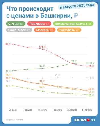 Источник: Юрий Скулыбердин / Городские медиа