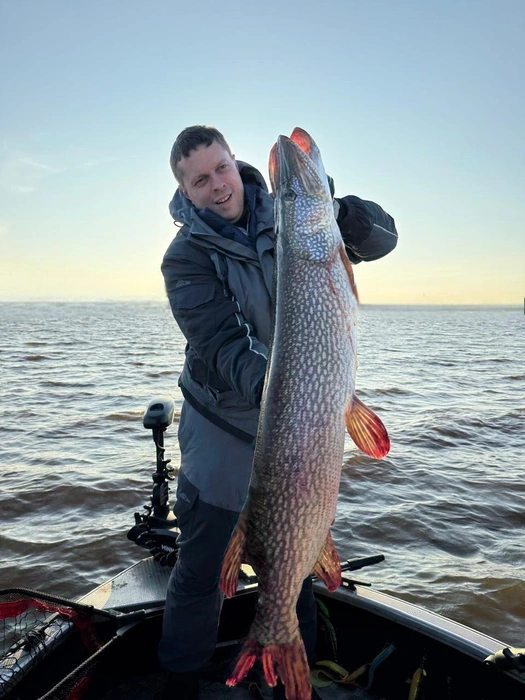 Источник: Владимир Зинченко