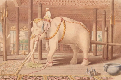 Sacred White Elephants of Burma: The Argument for Power
