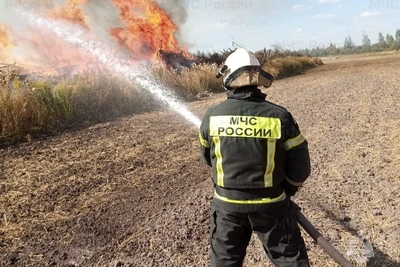 17 выездов пожарных за сутки: тушили траву и помогали людям