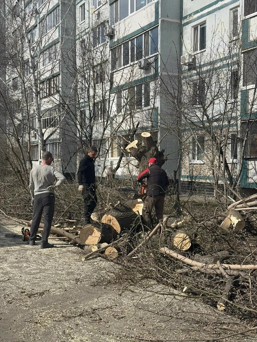 Источник: ugd.ru