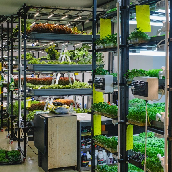 Клиенты приходят сюда на экскурсии и дегустации | Источник: Тимофей Калмаков / 59.RU