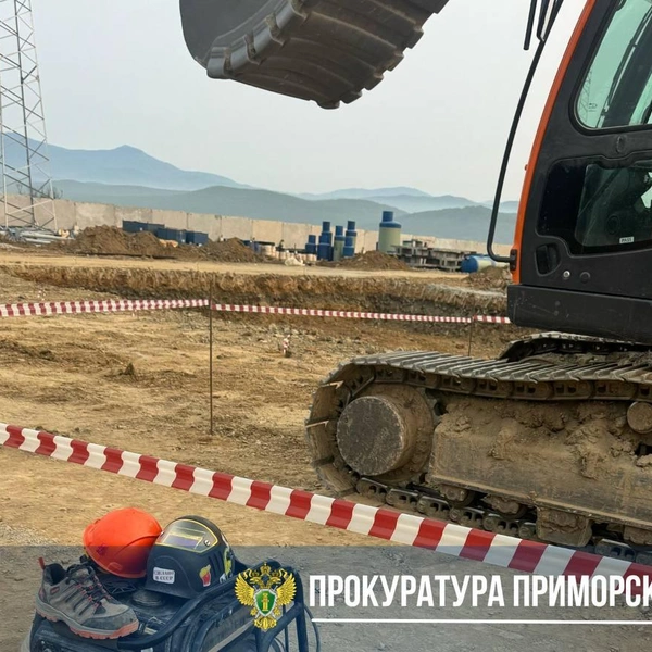 Источник: прокуратура Приморского края