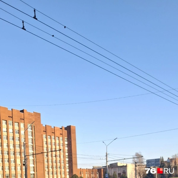 Многокилометровая пробка образовалась на Московском проспекте в сторону выезда из города | Источник: читательница 76.RU