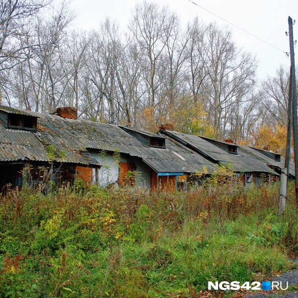 Источник: Татьяна Ирискина / NGS42.RU