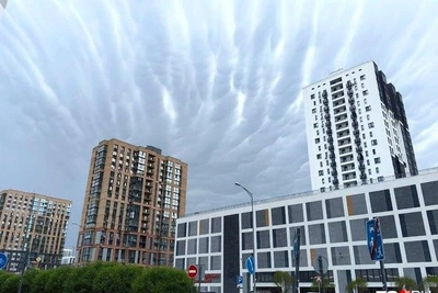 Сокращения в Тюменской области: главные новости за 30–31 мая