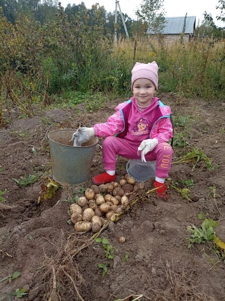 Детский конкурс «И снова осень»: голосуем за лучшее фото