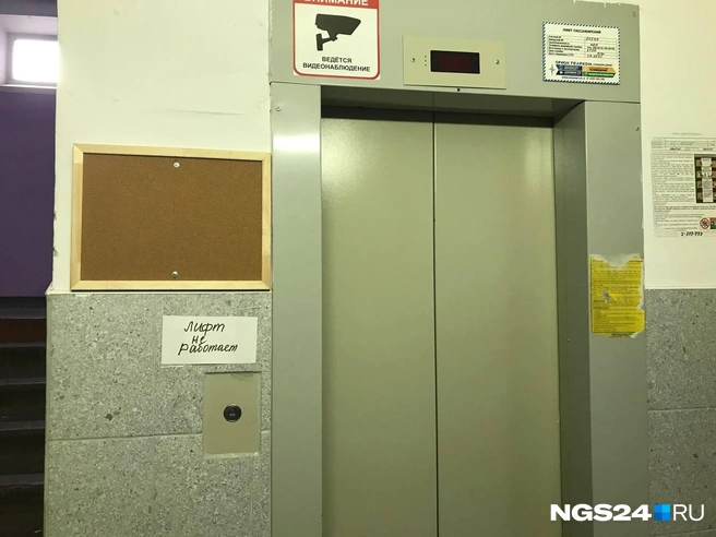 Источник: Дмитрий Мамаев / NGS24.RU