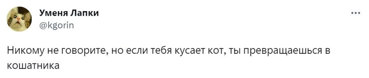 Шутки вторника и средневековые гильдии вебкаменщиков