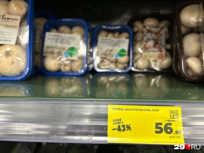 Источник: Кристина Полевая / 29.RU