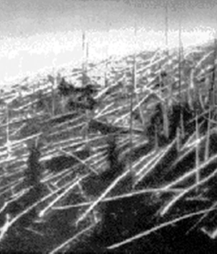 Физики дали новое объяснение феномену Тунгусского метеорита