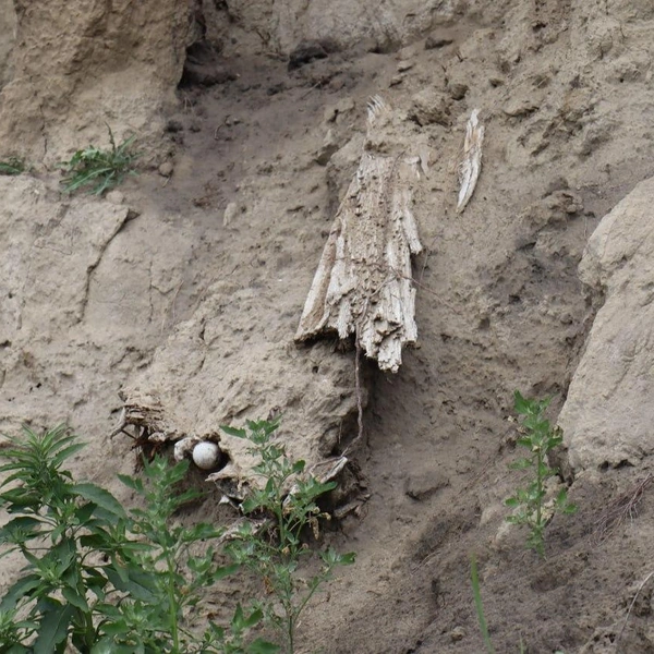 В 2024 году с этого берега еще можно было спуститься вниз | Источник: Артем Шершнев