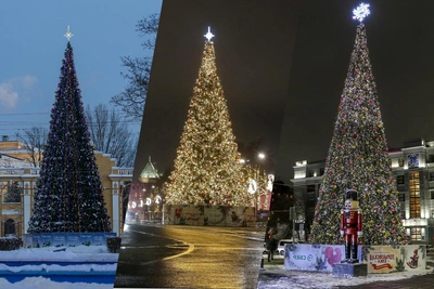 Где в Нижнем Новгороде установили самые красивые новогодние ели