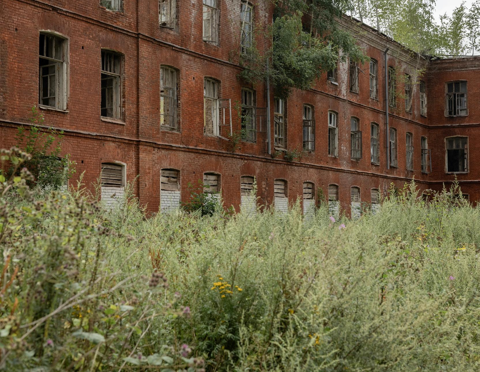 Точно определить, какой именно корпус использовали для съемок, сегодня уже сложно. Одни здания сильно разрушены, другие&nbsp;— почти полностью скрыты за разросшимися деревьями | Источник: Александр Куренной / 76.RU