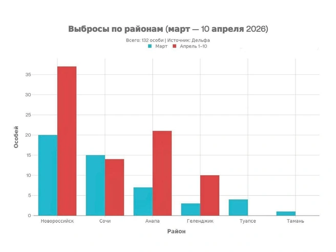 Больше всего погибших особей в Новороссийске | Источник: Delfacenter / T.me