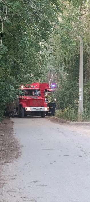 Пожарный наряд, по словам горожан, оперативно локализовал возгорание | Источник: читатели V1.RU