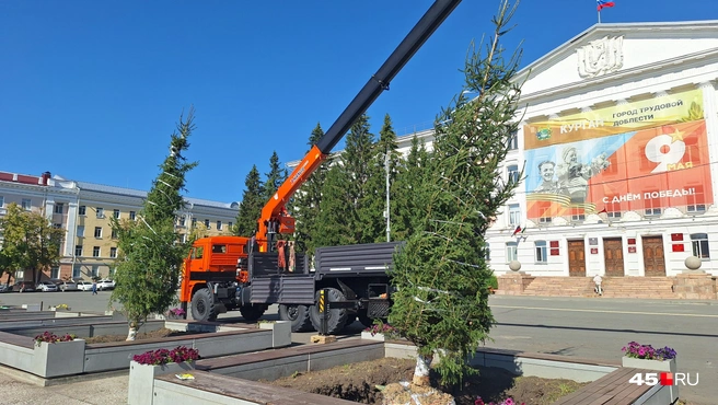 В яму их нужно было поставить прямо | Источник: Александр Лисихин / 45.RU