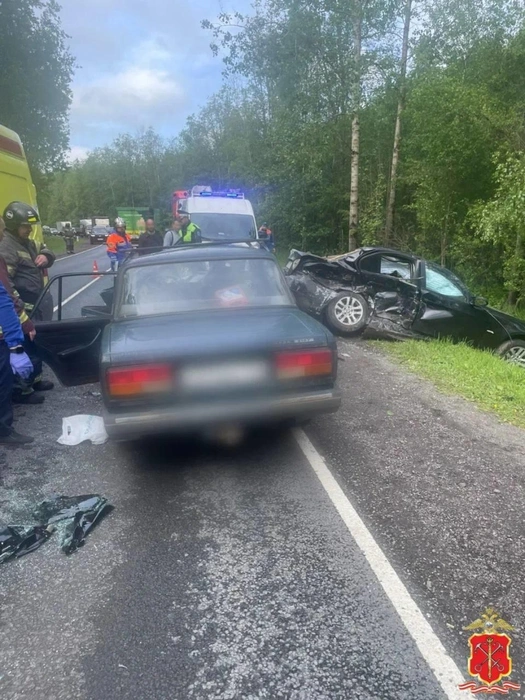 Водитель BMW стал фигурантом уголовного дела после смертельного ДТП на «Магистральной» | Источник: ГУ МВД по Петербургу и Ленобласти