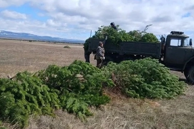 В Николаевском расчистили заброшенную военную взлётно-посадочную полосу
