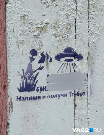 Как и интересные картинки | Источник: Дарья Ходосевич / YA62.RU