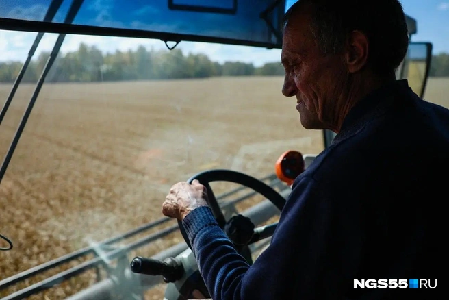 В сельском хозяйстве готовы платить более 100 тысяч, но не весь год | Источник: Евгений Софийчук / NGS55.RU