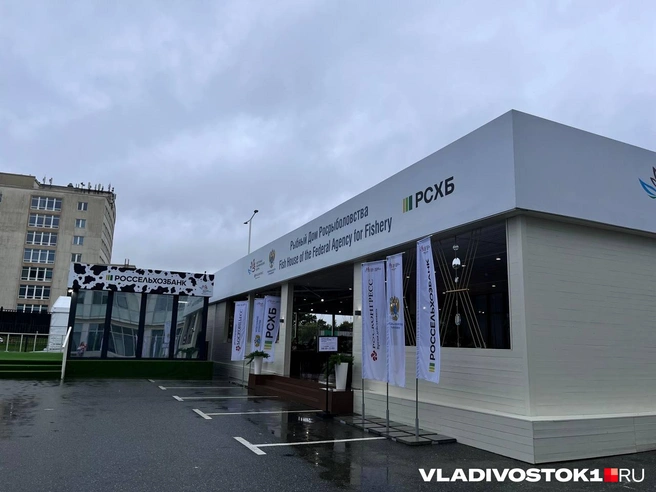 Источник: Алиса Князева / VLADIVOSTOK1.RU