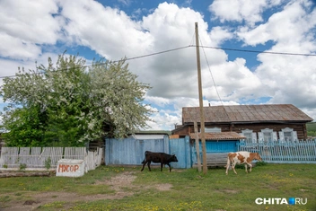 Источник: Олег Фёдоров / CHITA.RU