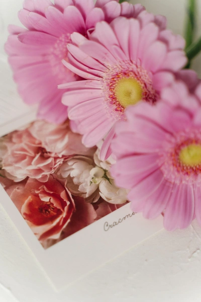 Источник: FLOraОПТ