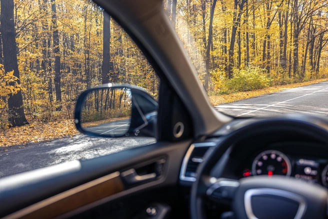 Доверить такое важное дело лучше профи | Источник: ru.freepik.com