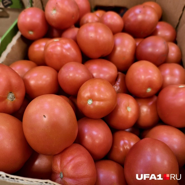 Источник: Булат Салихов / UFA1.RU