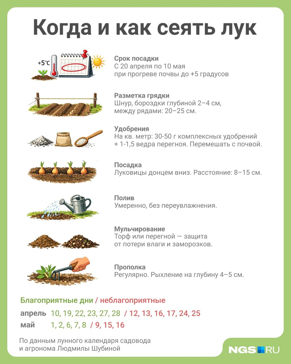 Источник: Юрий Орлов / Городские медиа