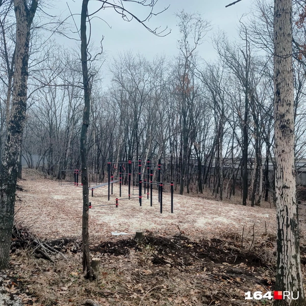 Источник: Сергей Гендин / 164.RU