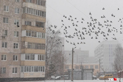 Синоптики предрекают потепление в Центральной России с последующими морозами