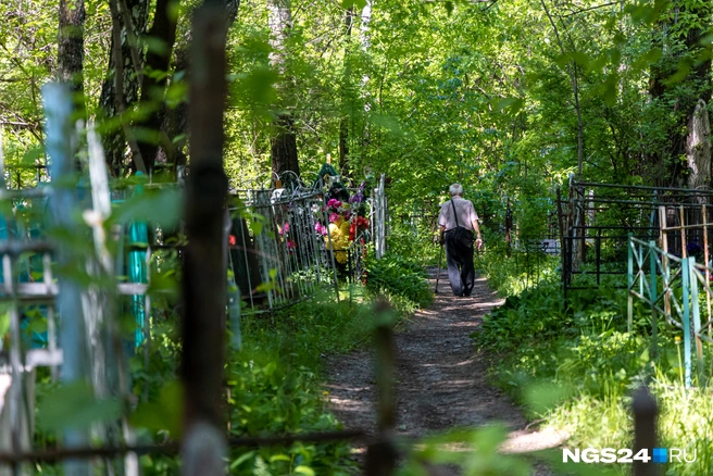 В зарослях Николаевского | Источник: Мария Ленц / NGS24.RU