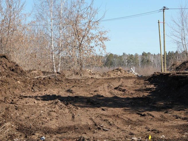 Источник: Кирилл Кушнов / E1.RU