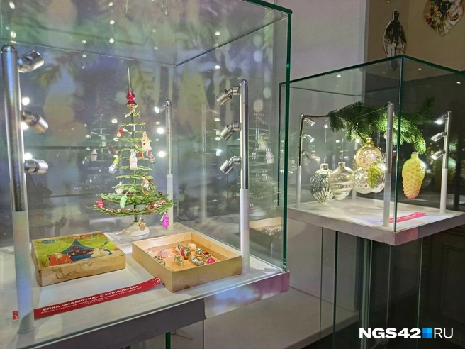 Источник: Александр Левчук / NGS42.RU