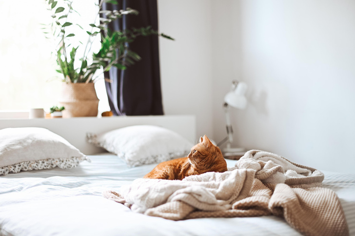Как часто нужно менять постельное белье: основные правила ухода за постелью