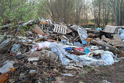 Грузовиками свозят мусор на грибные места под Бором