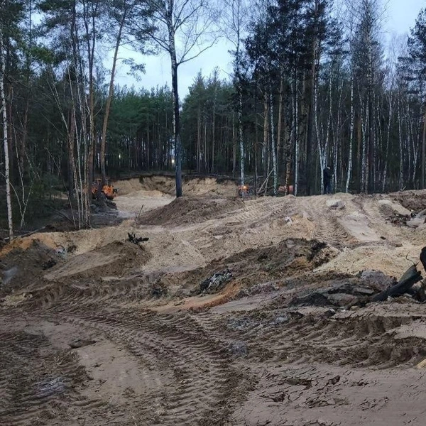 Источник: Минлесхоз по Нижегородской области