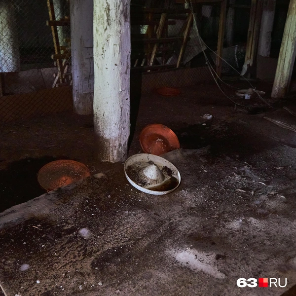 Источник: читатель 63.ru