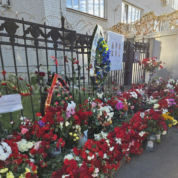 Источник: Ирина Булгакова / Voronezh1.ru