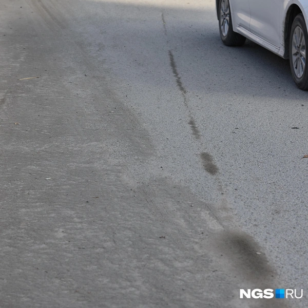 На обочинах много сухой грязи | Источник: Александр Ощепков / NGS.RU