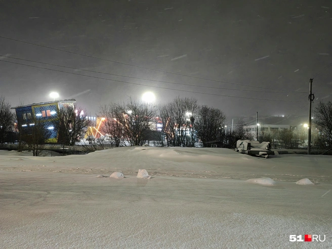 Источник: Юлия Кузнецова / 51.RU