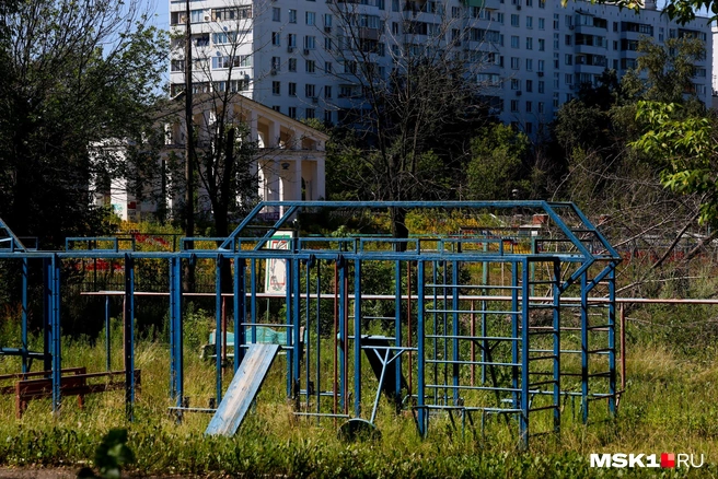 К уличным тренажерам не даст подобраться репейник | Источник: Артем Устюжанин / MSK1.RU