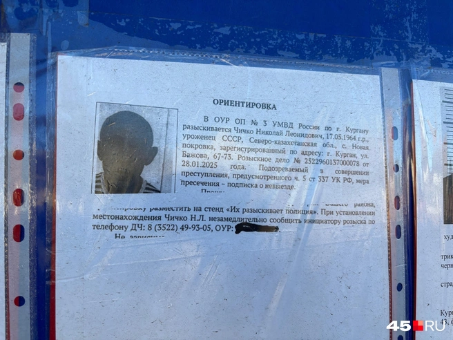 Источник: Кирилл Митин